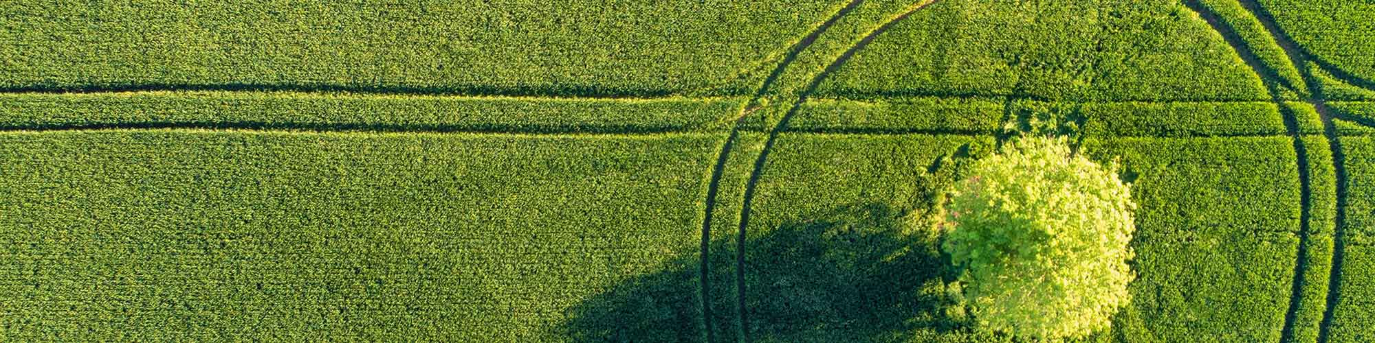 Pickering & Butters LLP Banner Image